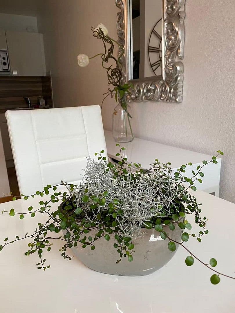 Prenájom bytu 2-izbový 55 m², Mannheim, Bádensko-Wurttembersko Prenájom bytu 2-izbový 55 m², Mannheim, Bádensko-Wurttembersko