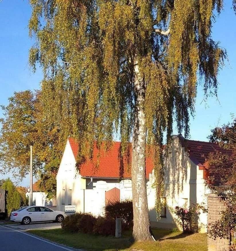 Prenájom rekreačného objektu, Dunajovice, Jihočeský kraj Prenájom rekreačného objektu, Dunajovice, Jihočeský kraj