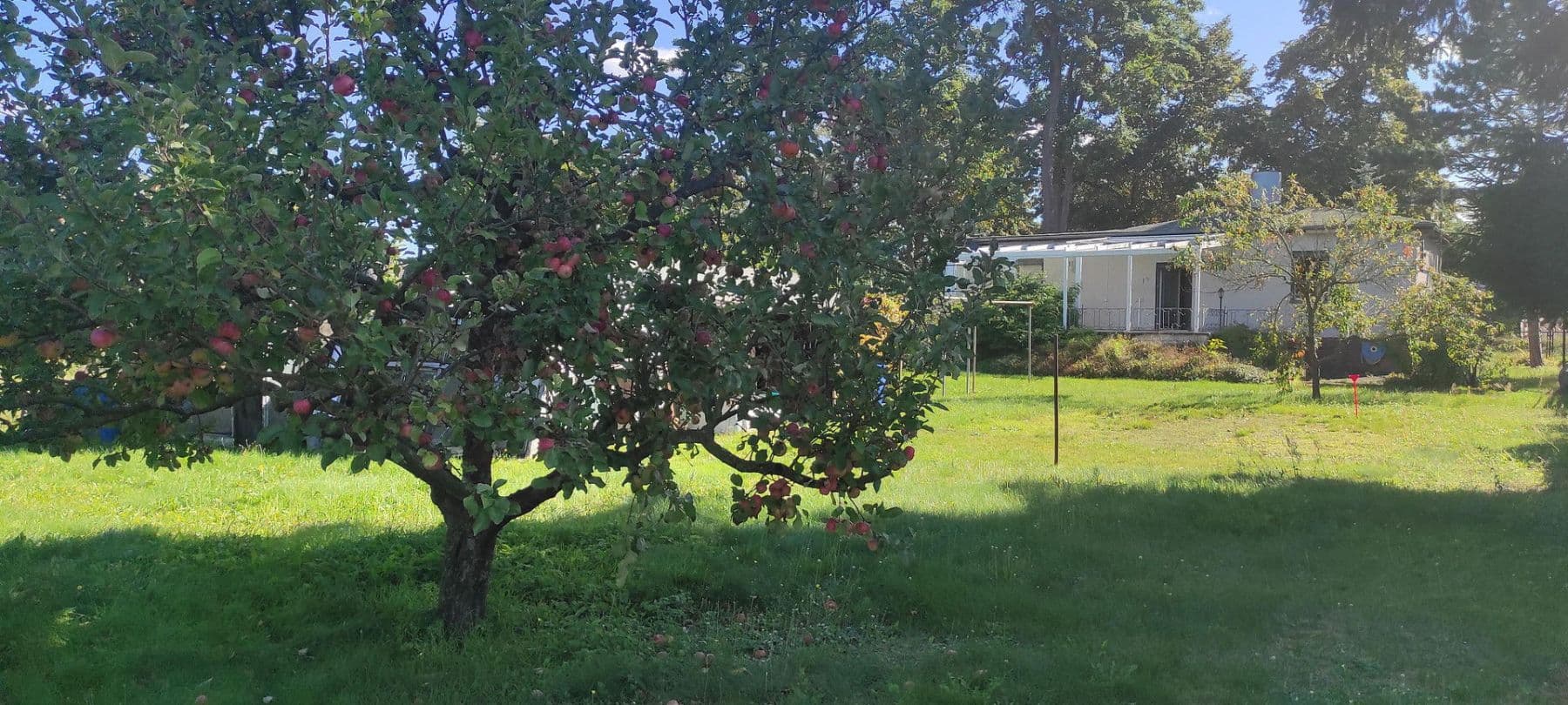 Predaj pozemku 605 m², Mahlsdorfer Straße 31, Hoppegarten, Brandenbursko Predaj pozemku 605 m², Mahlsdorfer Straße 31, Hoppegarten, Brandenbursko