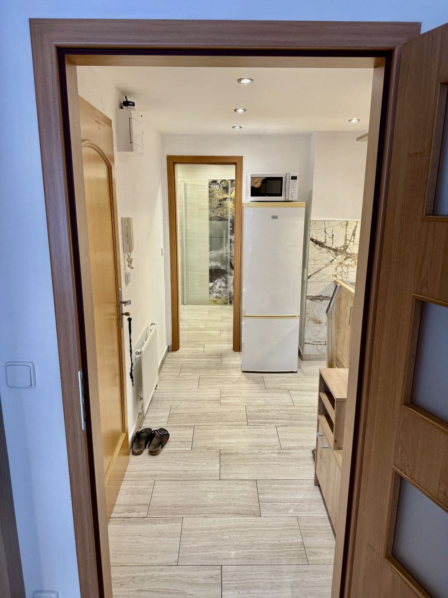 Prenájom bytu 1-izbový 30 m², Hajní, Praha, Praha Prenájom bytu 1-izbový 30 m², Hajní, Praha, Praha