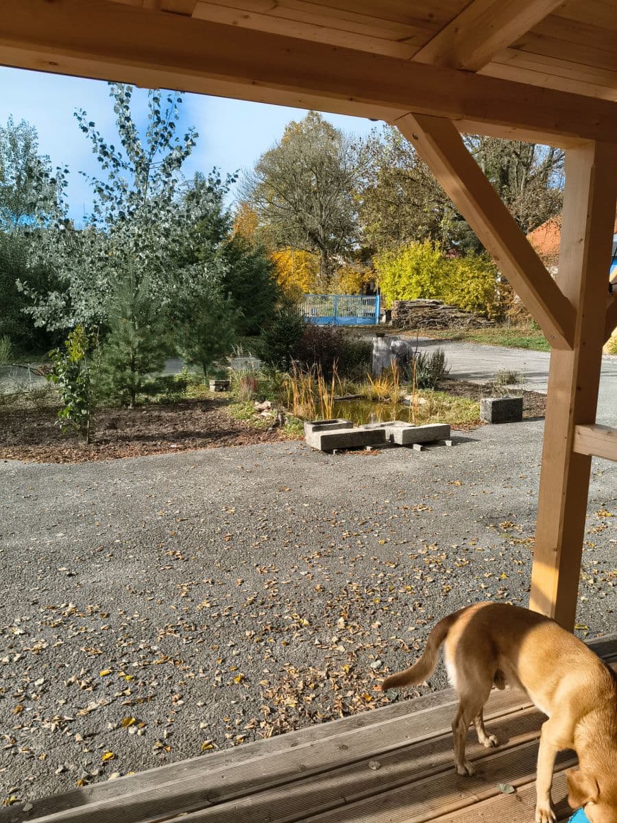 Prenájom bytu 1-izbový 50 m², Mírová, Studená, Jihočeský kraj Prenájom bytu 1-izbový 50 m², Mírová, Studená, Jihočeský kraj