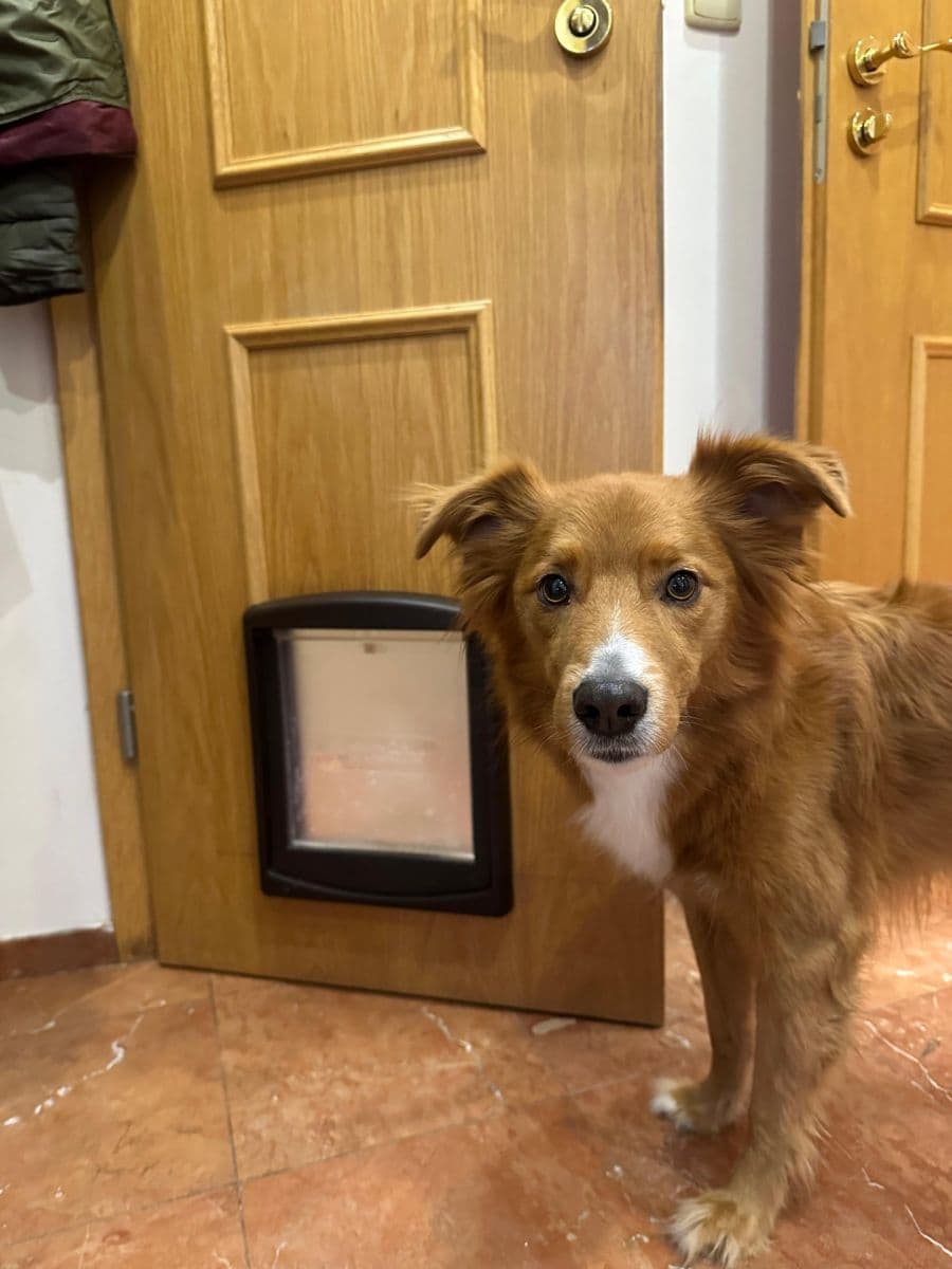 Prenájom bytu 3-izbový 87 m², Odlehlá, Praha, Praha Prenájom bytu 3-izbový 87 m², Odlehlá, Praha, Praha