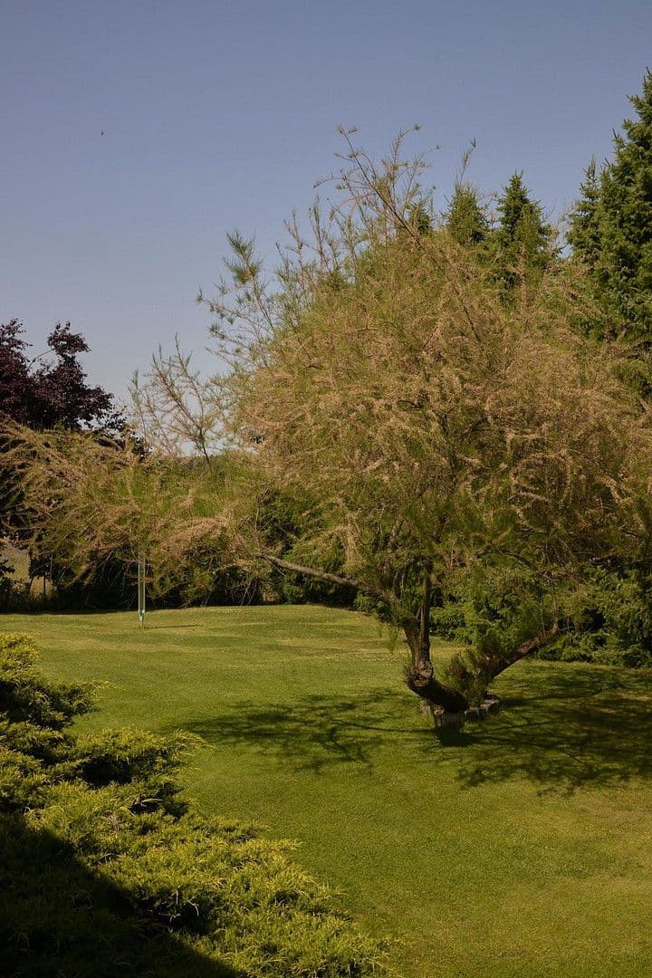 Predaj domu 277 m², pozemek 3.439 m², Treuenbrietzen, Brandenbursko Predaj domu 277 m², pozemek 3.439 m², Treuenbrietzen, Brandenbursko