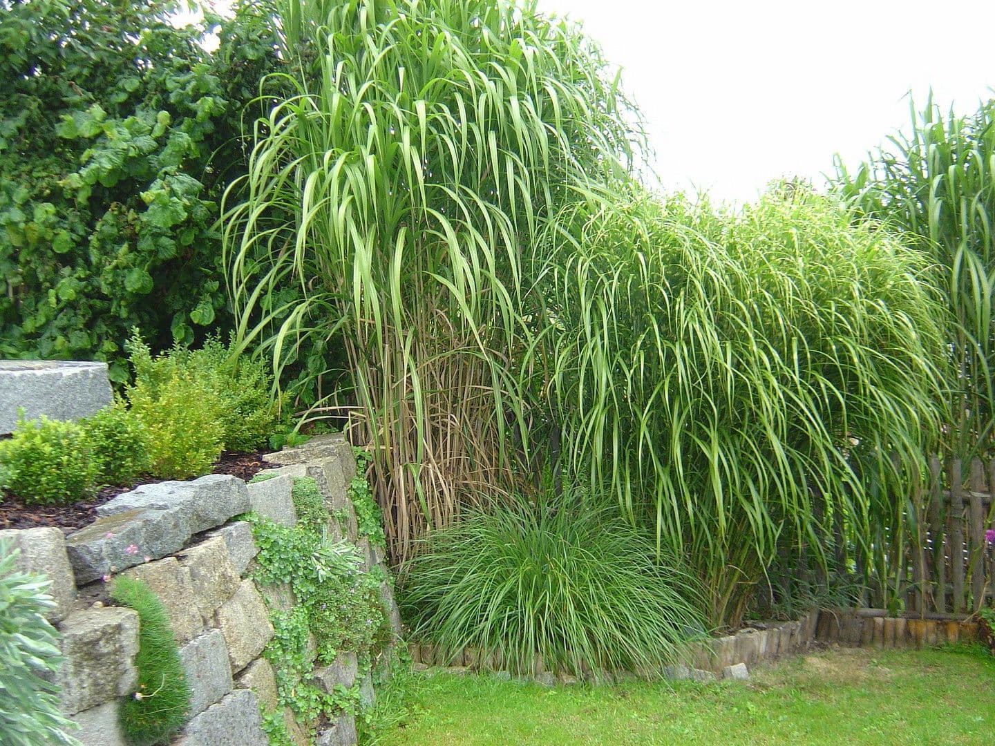 Predaj domu 152 m², pozemek 547 m², Aßling, Bavorsko Predaj domu 152 m², pozemek 547 m², Aßling, Bavorsko