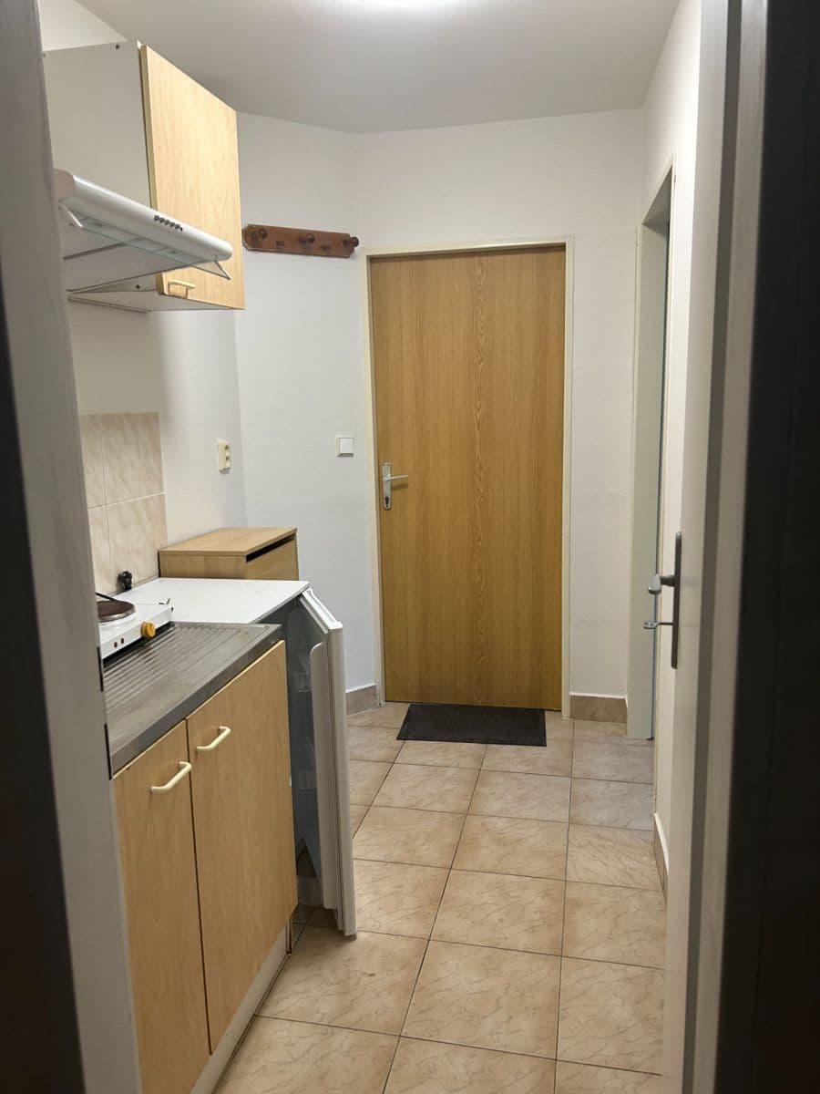 Prenájom bytu 1-izbový 25 m², V Nových Vokovicích, Praha, Praha Prenájom bytu 1-izbový 25 m², V Nových Vokovicích, Praha, Praha