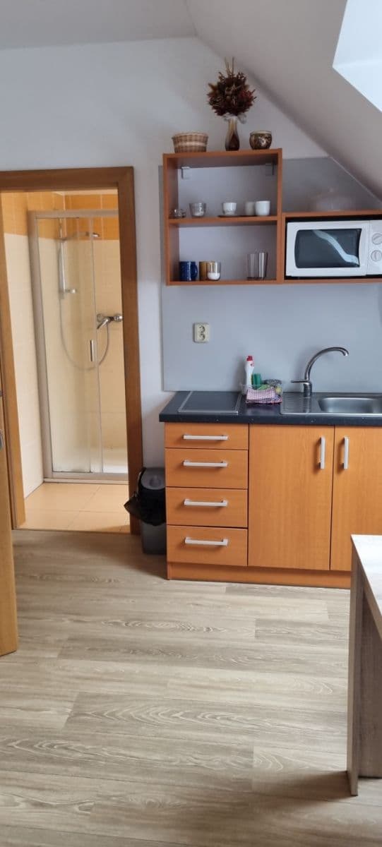 Prenájom bytu 1-izbový 21 m², Olešnice, Jihočeský kraj Prenájom bytu 1-izbový 21 m², Olešnice, Jihočeský kraj