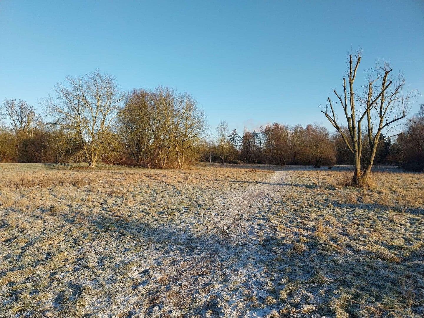 Predaj domu 76 m², pozemek 203 m², Frankfurt, Hesensko Predaj domu 76 m², pozemek 203 m², Frankfurt, Hesensko