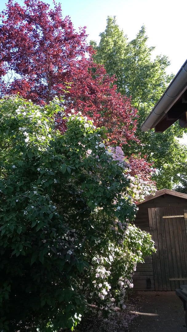 Predaj domu 137 m², pozemek 504 m², Brieselang, Brandenbursko Predaj domu 137 m², pozemek 504 m², Brieselang, Brandenbursko