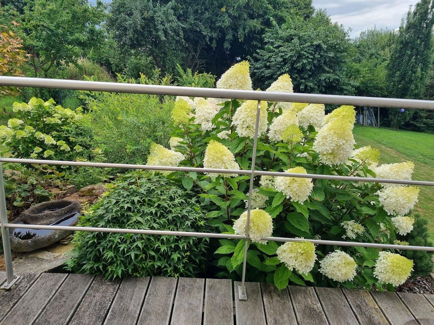 Predaj domu 273 m², pozemek 655 m², Einbeck, Dolné Sasko Predaj domu 273 m², pozemek 655 m², Einbeck, Dolné Sasko