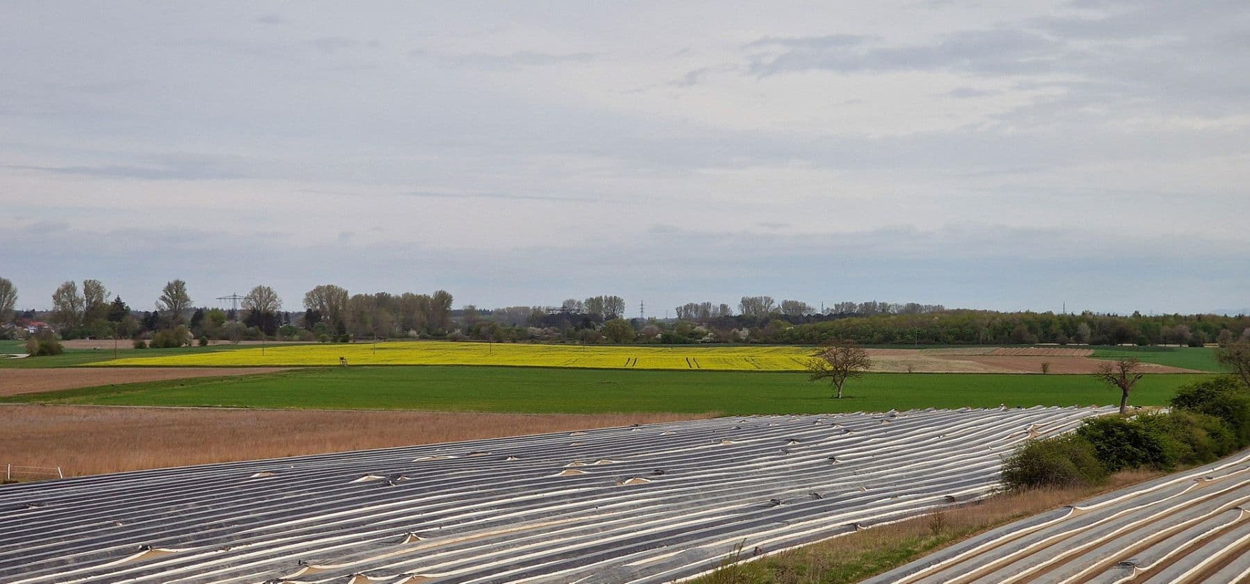 Predaj bytu 3-izbový 100 m², Bruchsal, Bádensko-Wurttembersko Predaj bytu 3-izbový 100 m², Bruchsal, Bádensko-Wurttembersko