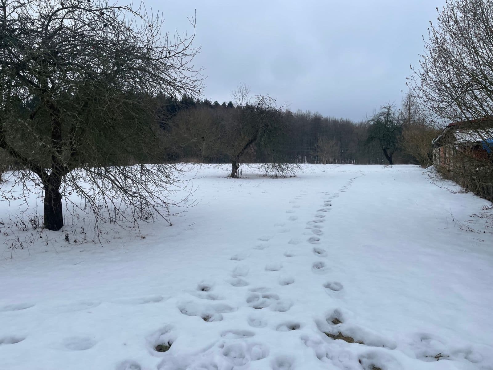 Predaj pozemku 5.000 m², Sadov, Karlovarský kraj Predaj pozemku 5.000 m², Sadov, Karlovarský kraj