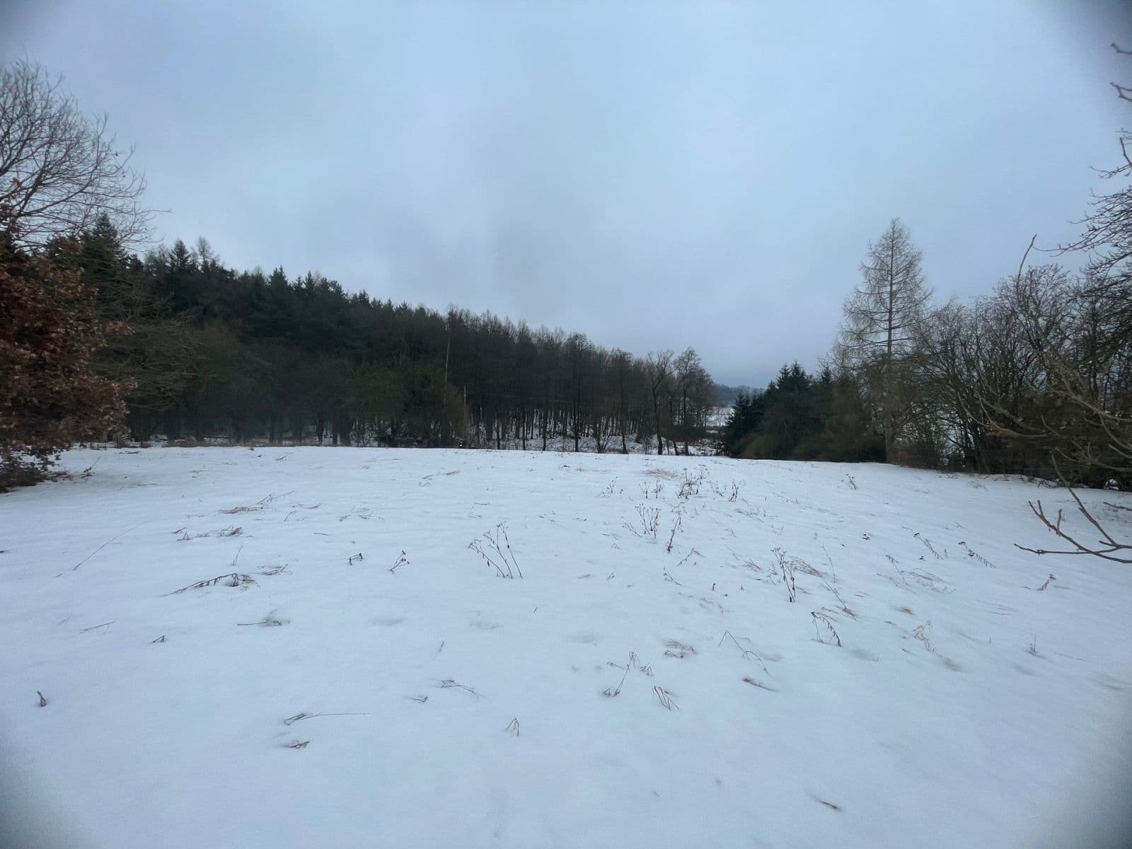 Predaj pozemku 5.000 m², Sadov, Karlovarský kraj Predaj pozemku 5.000 m², Sadov, Karlovarský kraj