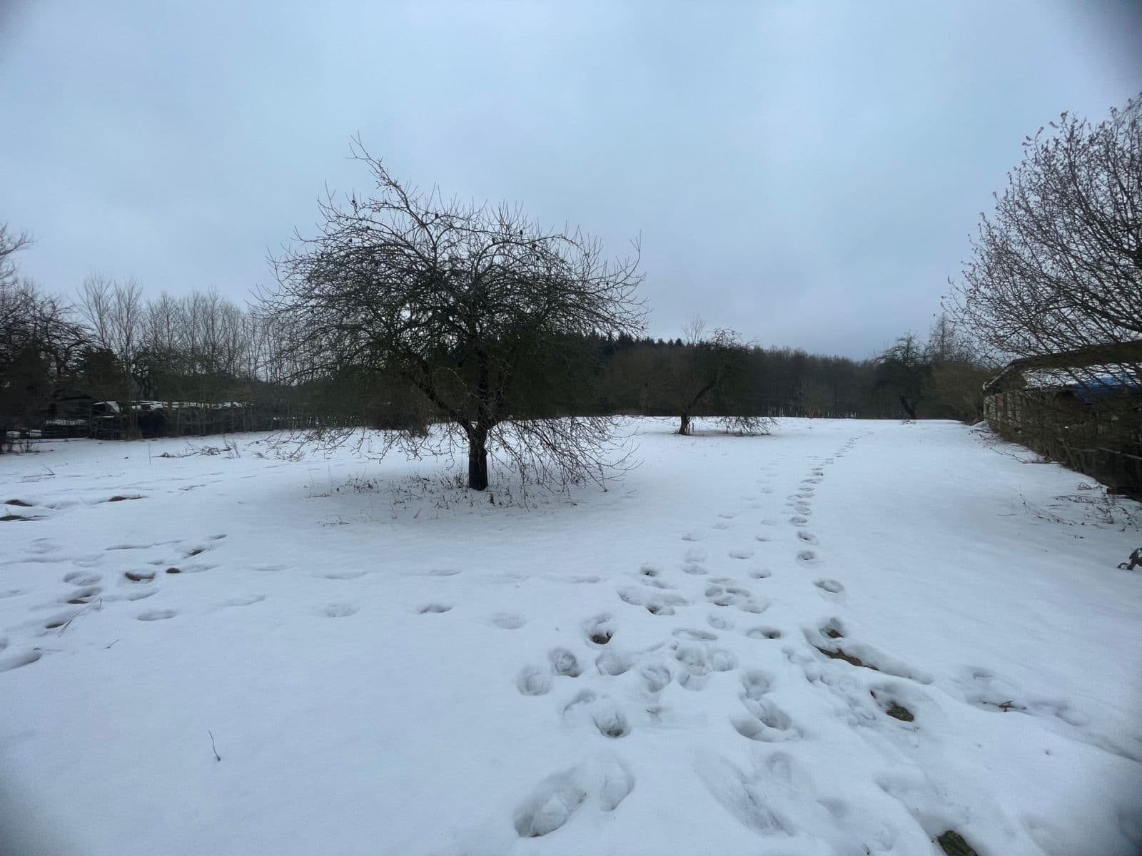 Predaj pozemku 5.000 m², Sadov, Karlovarský kraj Predaj pozemku 5.000 m², Sadov, Karlovarský kraj