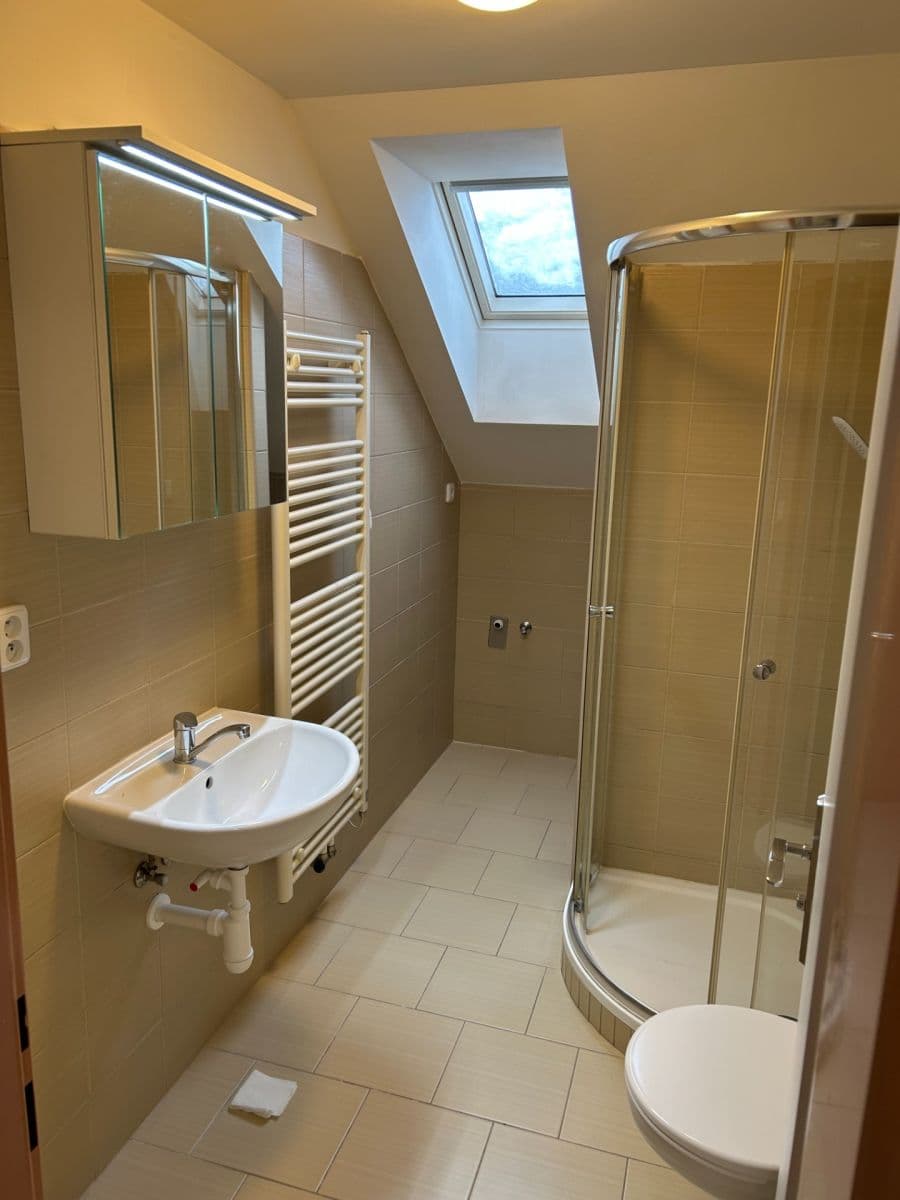 Prenájom bytu 1-izbový 42 m², Nová Ves, Středočeský kraj Prenájom bytu 1-izbový 42 m², Nová Ves, Středočeský kraj