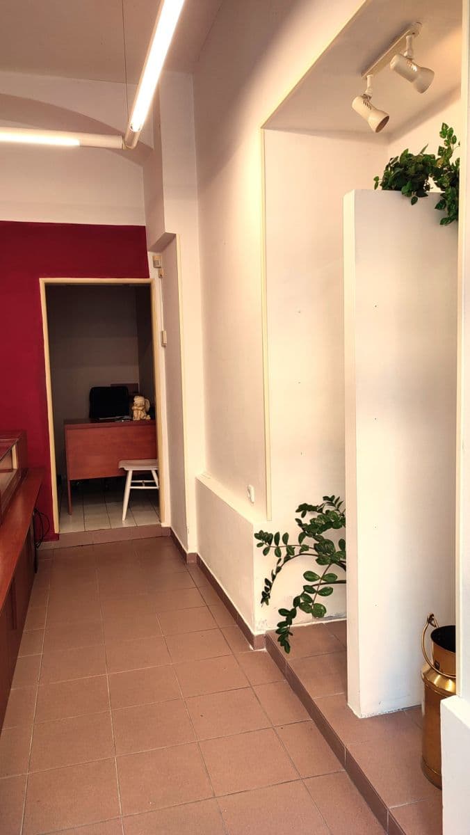 Prenájom nebytového priestoru 20 m², Smilova, Pardubice, Pardubický kraj Prenájom nebytového priestoru 20 m², Smilova, Pardubice, Pardubický kraj