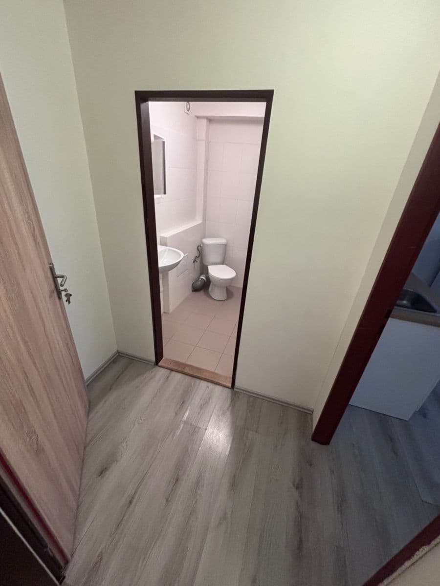 Prenájom bytu 1-izbový 30 m², Kladenská, Praha, Praha Prenájom bytu 1-izbový 30 m², Kladenská, Praha, Praha