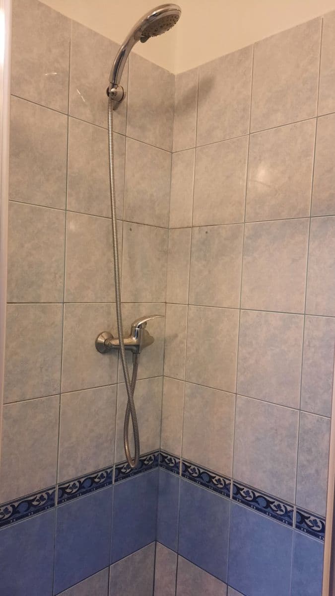 Prenájom bytu 2-izbový 50 m², Boleslavova, Praha, Praha Prenájom bytu 2-izbový 50 m², Boleslavova, Praha, Praha