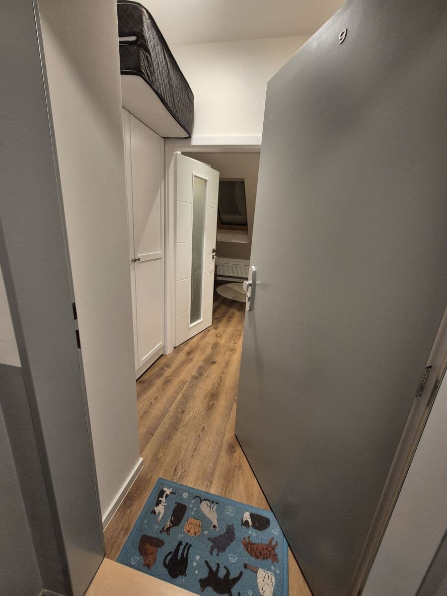 Prenájom bytu 30 m², Na mokřině, Praha, Praha Prenájom bytu 30 m², Na mokřině, Praha, Praha