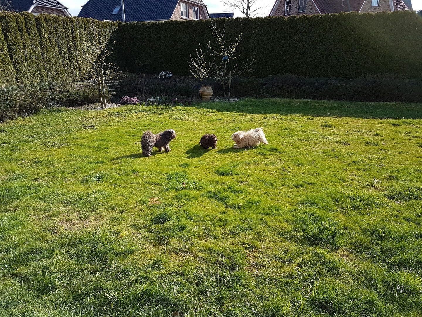 Predaj domu 115 m², pozemek 634 m², Hammoor, Šlezvicko-Holštajnsko Predaj domu 115 m², pozemek 634 m², Hammoor, Šlezvicko-Holštajnsko