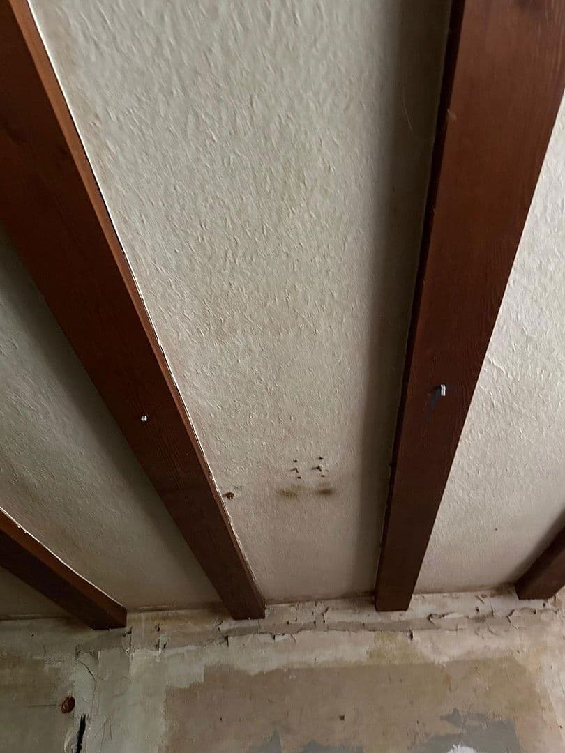 Prenájom nebytového priestoru 73 m², Lindenstraße 30, Bad Wildungen, Hesensko Prenájom nebytového priestoru 73 m², Lindenstraße 30, Bad Wildungen, Hesensko