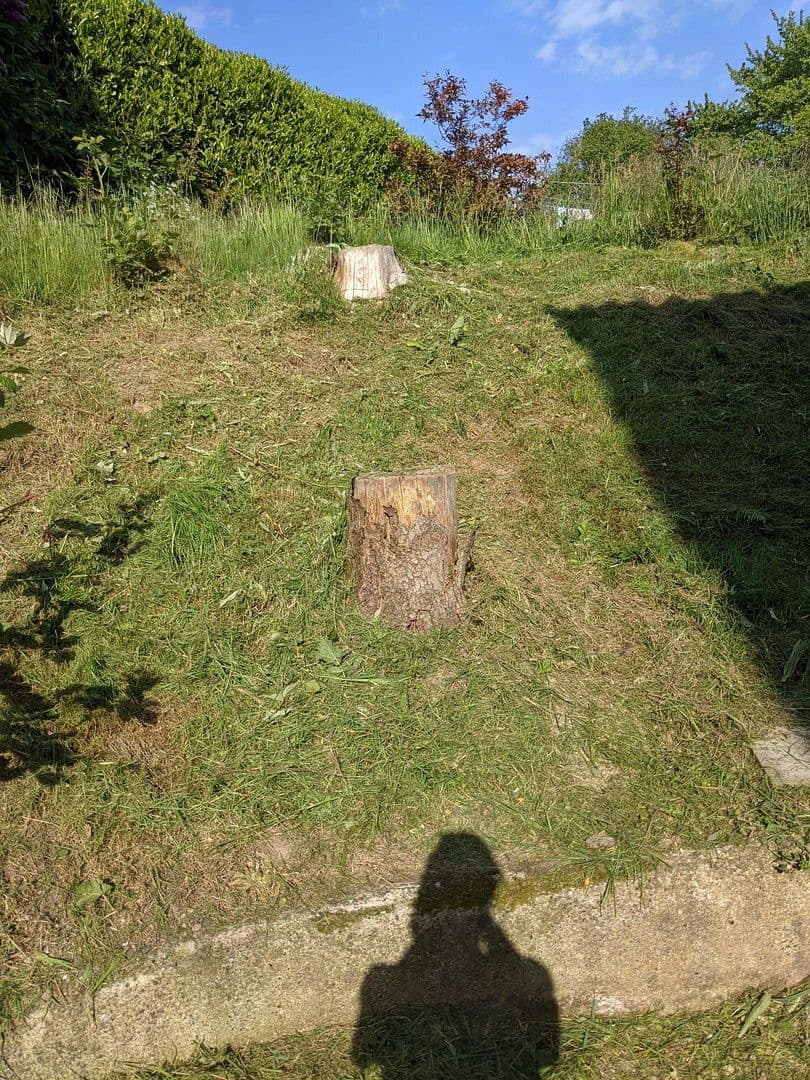 Prenájom bytu 1-izbový 28 m², Luschendorfer Straße Nr. 1, Schürsdorf, Šlezvicko-Holštajnsko Prenájom bytu 1-izbový 28 m², Luschendorfer Straße Nr. 1, Schürsdorf, Šlezvicko-Holštajnsko