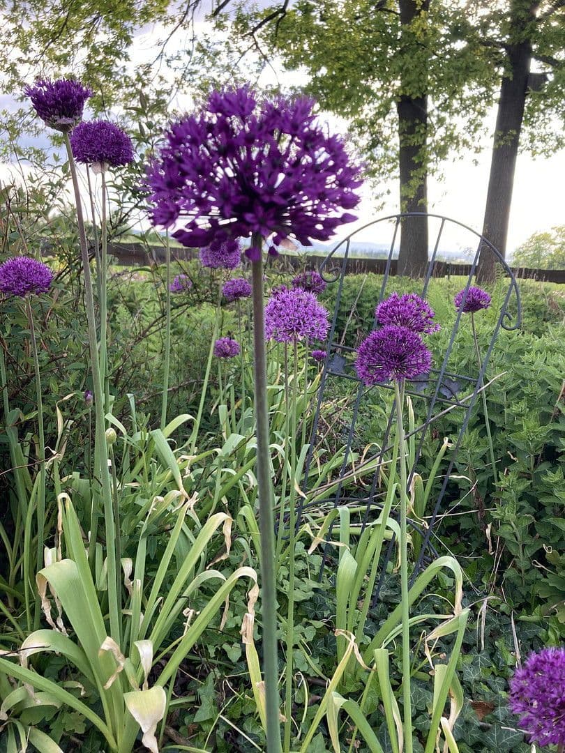 Predaj domu 180 m², pozemek 2.889 m², Nienstädt, Dolné Sasko Predaj domu 180 m², pozemek 2.889 m², Nienstädt, Dolné Sasko