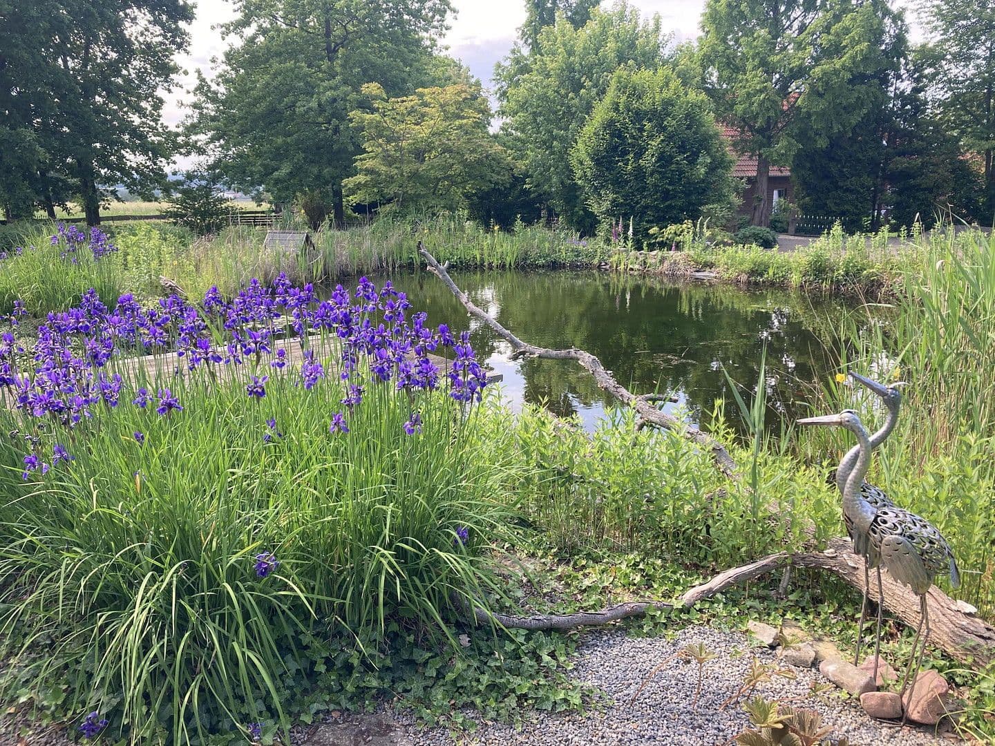 Predaj domu 180 m², pozemek 2.889 m², Nienstädt, Dolné Sasko Predaj domu 180 m², pozemek 2.889 m², Nienstädt, Dolné Sasko