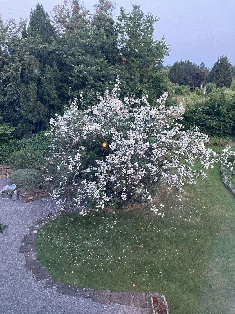 Predaj domu 180 m², pozemek 2.889 m², Nienstädt, Dolné Sasko Predaj domu 180 m², pozemek 2.889 m², Nienstädt, Dolné Sasko