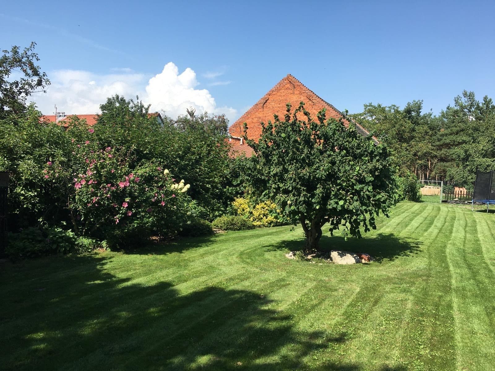 Predaj domu 367 m², pozemek 3.686 m², Svárov, Troubky, Olomoucký kraj Predaj domu 367 m², pozemek 3.686 m², Svárov, Troubky, Olomoucký kraj