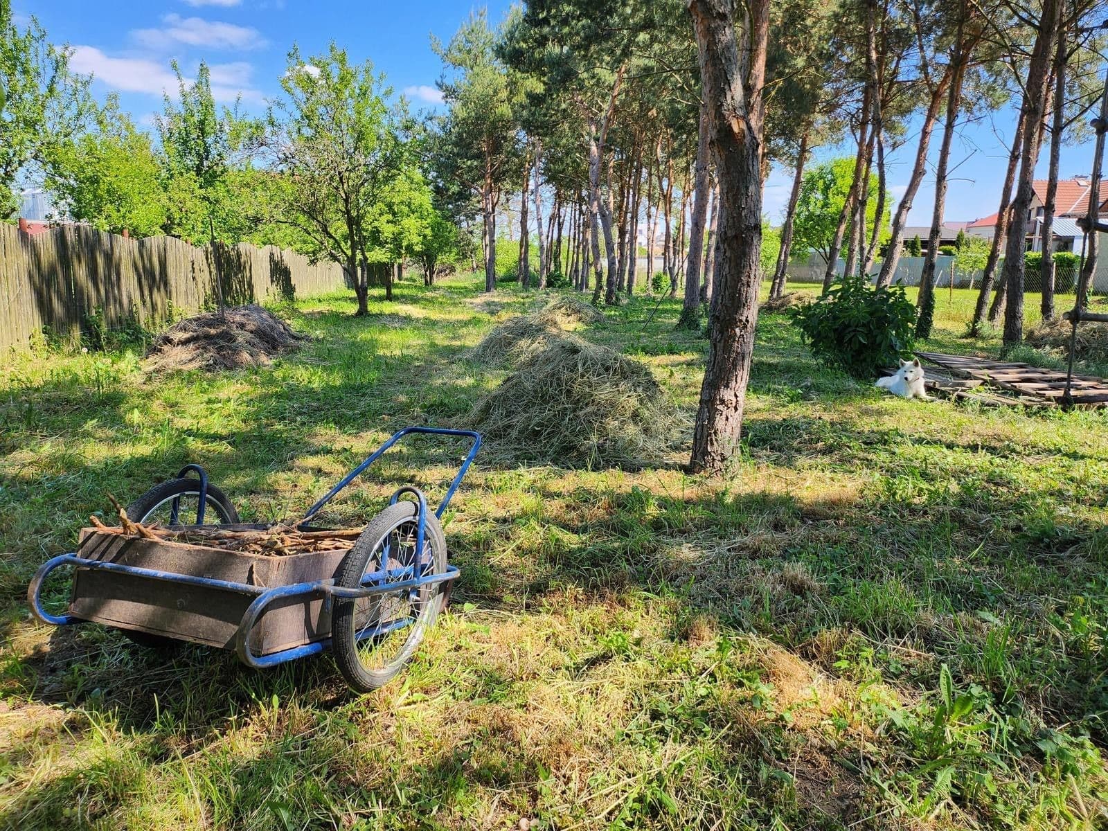 Predaj domu 367 m², pozemek 3.686 m², Svárov, Troubky, Olomoucký kraj Predaj domu 367 m², pozemek 3.686 m², Svárov, Troubky, Olomoucký kraj