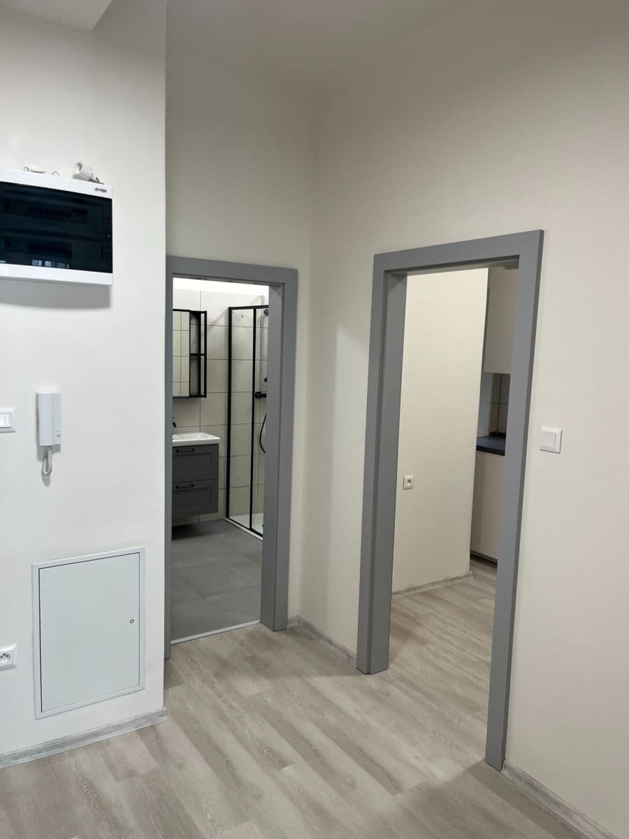 Prenájom bytu 2-izbový 54 m², Milady Horákové, Brno, Jihomoravský kraj Prenájom bytu 2-izbový 54 m², Milady Horákové, Brno, Jihomoravský kraj