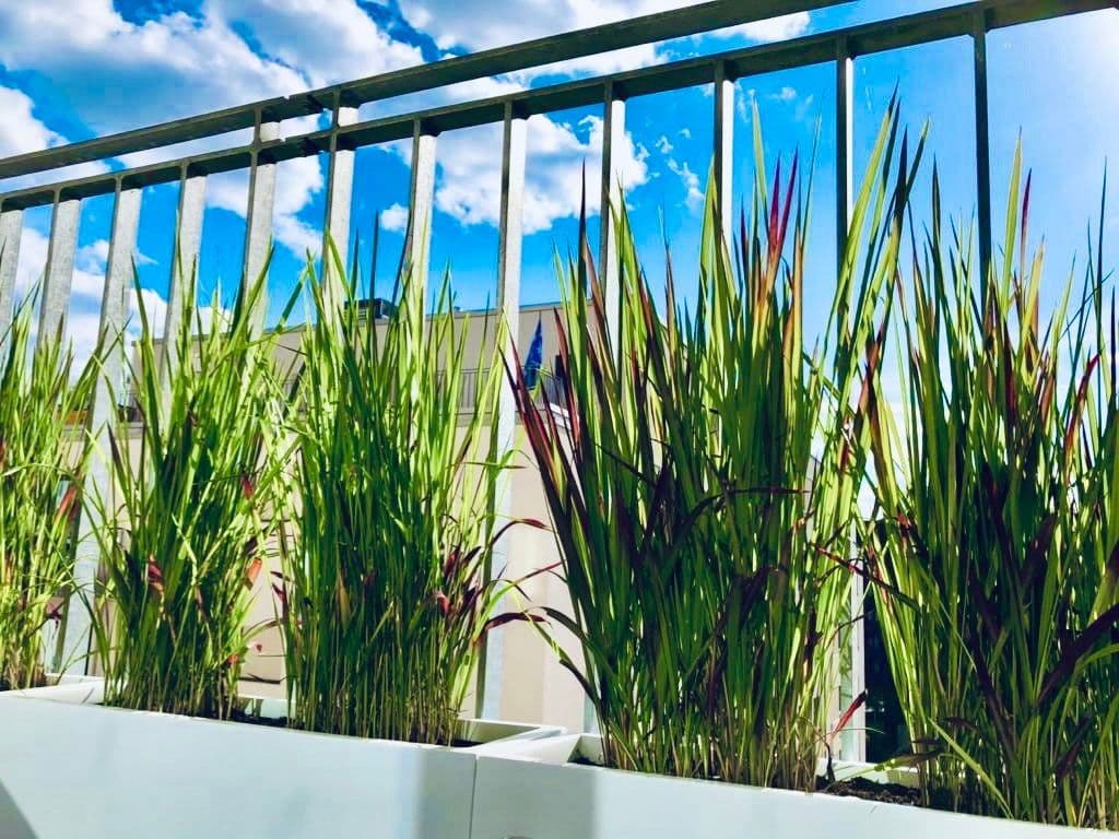 Prenájom bytu 2-izbový 58 m², Hamburg, Hamburg Prenájom bytu 2-izbový 58 m², Hamburg, Hamburg