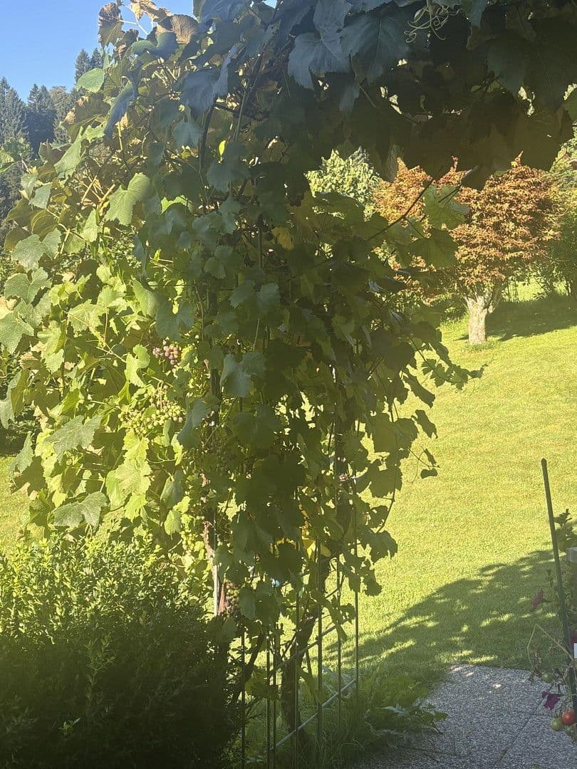 Prenájom bytu 4-izbový 120 m², Kupfstattgasse 18, Jochberg, Tirolsko Prenájom bytu 4-izbový 120 m², Kupfstattgasse 18, Jochberg, Tirolsko