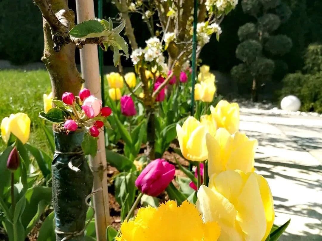 Prenájom domu 210 m², pozemek 670 m², Wilhermsdorf, Bavorsko Prenájom domu 210 m², pozemek 670 m², Wilhermsdorf, Bavorsko