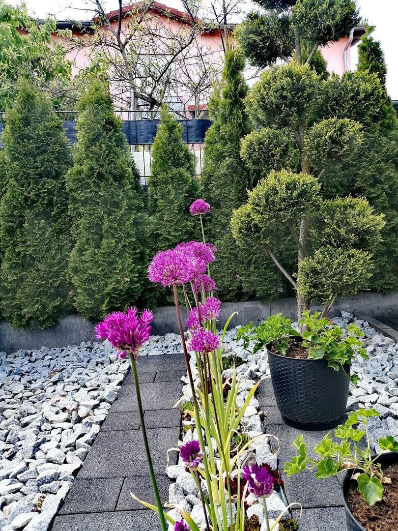 Prenájom domu 210 m², pozemek 670 m², Wilhermsdorf, Bavorsko Prenájom domu 210 m², pozemek 670 m², Wilhermsdorf, Bavorsko