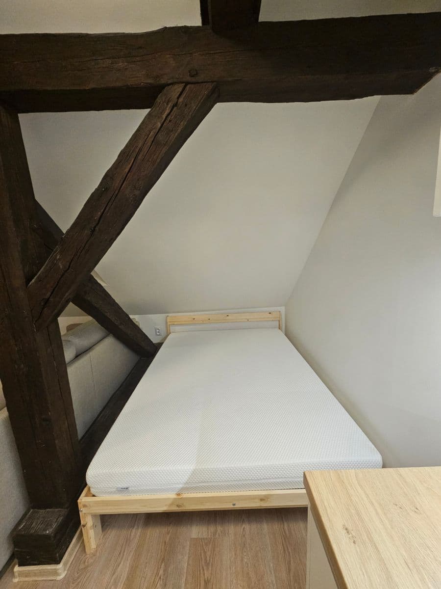 Prenájom bytu 1-izbový 28 m², Francouzská, Brno, Jihomoravský kraj Prenájom bytu 1-izbový 28 m², Francouzská, Brno, Jihomoravský kraj