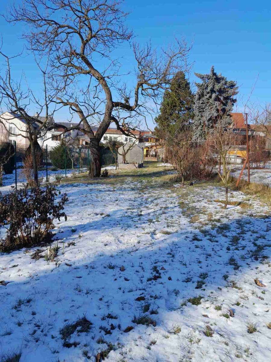 Predaj domu 115 m², pozemek 600 m², Kytnerova, Brno, Jihomoravský kraj Predaj domu 115 m², pozemek 600 m², Kytnerova, Brno, Jihomoravský kraj