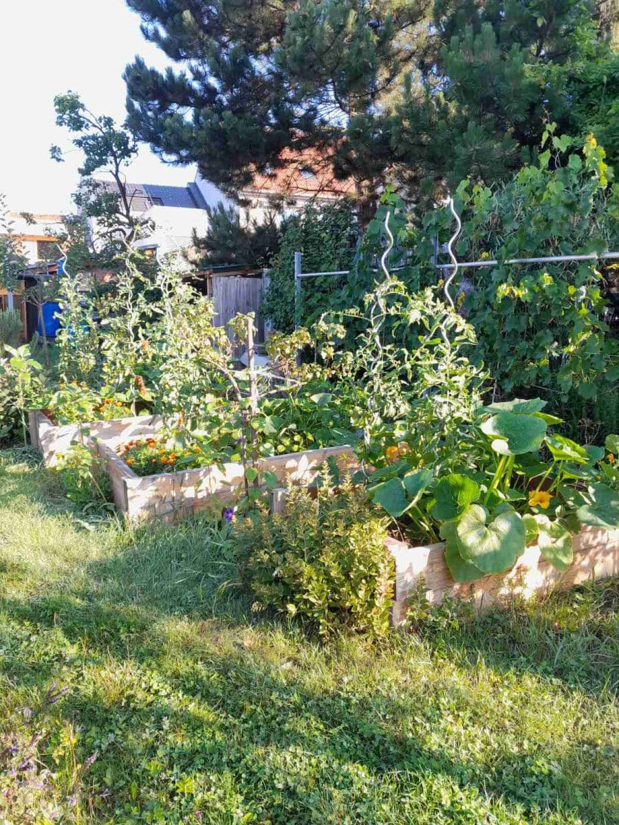 Predaj domu 115 m², pozemek 600 m², Kytnerova, Brno, Jihomoravský kraj Predaj domu 115 m², pozemek 600 m², Kytnerova, Brno, Jihomoravský kraj