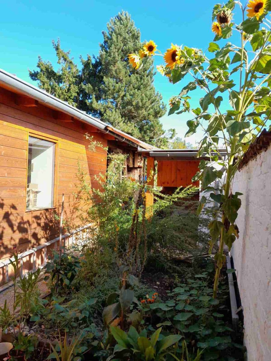 Predaj domu 115 m², pozemek 600 m², Kytnerova, Brno, Jihomoravský kraj Predaj domu 115 m², pozemek 600 m², Kytnerova, Brno, Jihomoravský kraj