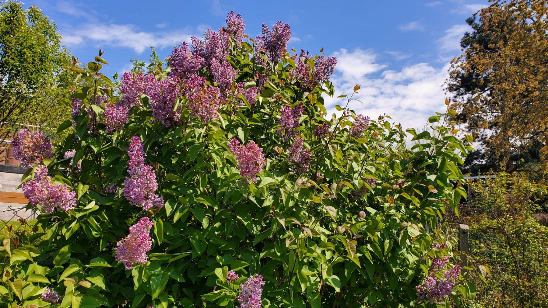 Predaj domu 273 m², pozemek 474 m², Pohlitzer Straße 15, Greiz, Durínsko Predaj domu 273 m², pozemek 474 m², Pohlitzer Straße 15, Greiz, Durínsko