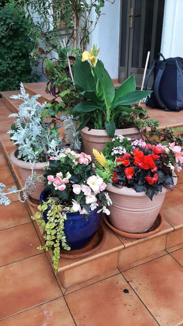 Predaj domu 170 m², pozemek 970 m², Frankfurt (Oder), Brandenbursko Predaj domu 170 m², pozemek 970 m², Frankfurt (Oder), Brandenbursko