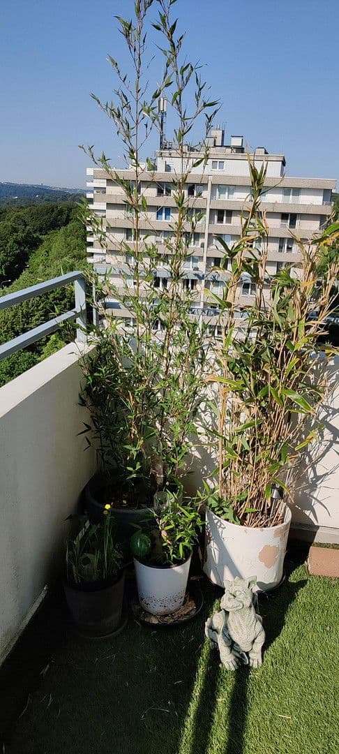 Predaj bytu 3-izbový 92 m², Theodor-Heuss-Straße 50, Wuppertal, Severné Porýnie - Westfálsko Predaj bytu 3-izbový 92 m², Theodor-Heuss-Straße 50, Wuppertal, Severné Porýnie - Westfálsko