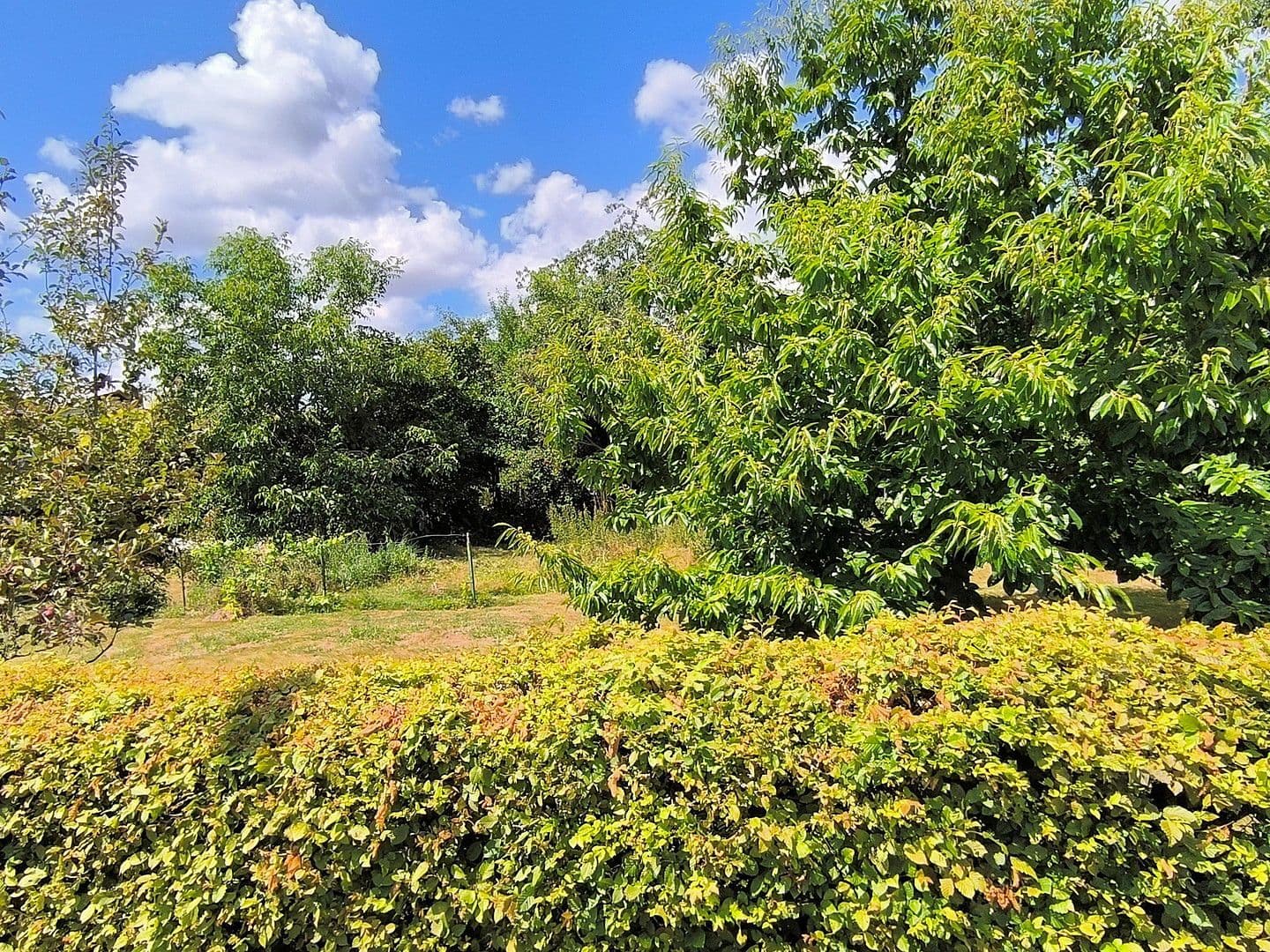 Predaj domu 93 m², pozemek 579 m², Kleinblittersdorf, Sársko Predaj domu 93 m², pozemek 579 m², Kleinblittersdorf, Sársko