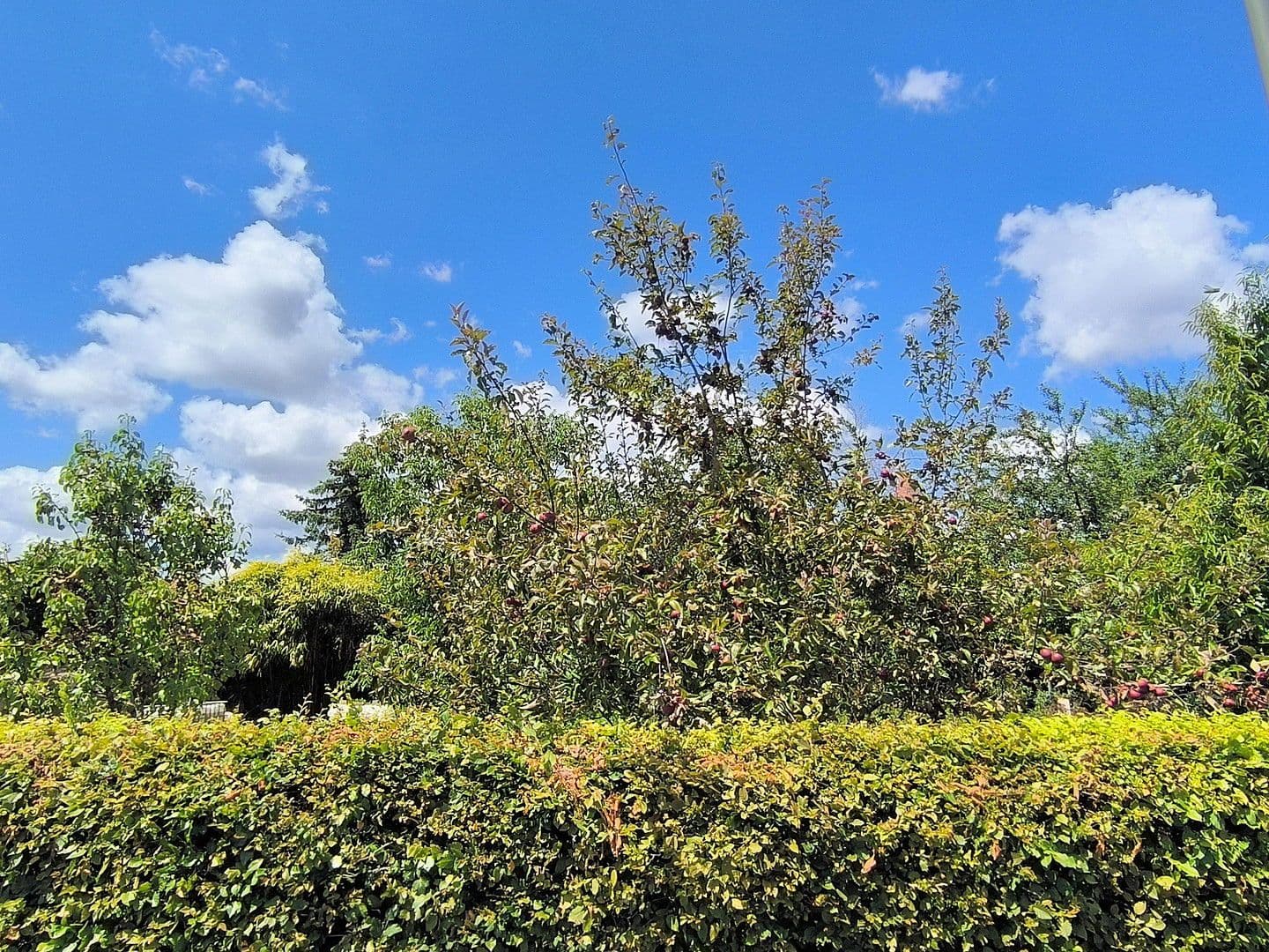 Predaj domu 93 m², pozemek 579 m², Kleinblittersdorf, Sársko Predaj domu 93 m², pozemek 579 m², Kleinblittersdorf, Sársko