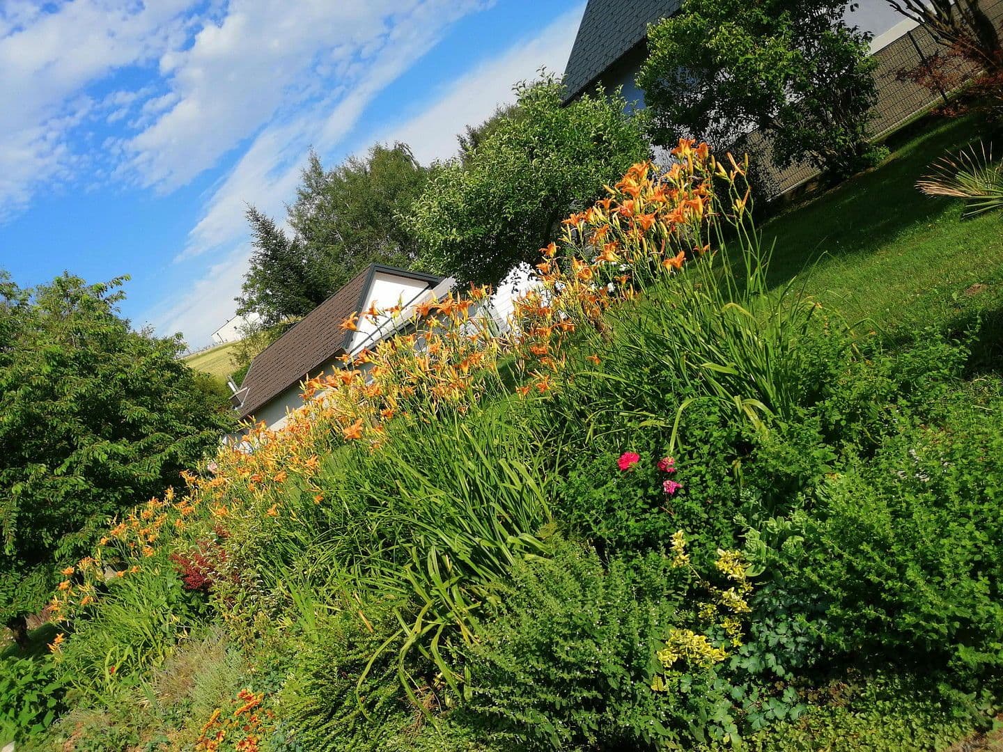 Predaj domu 86 m², pozemek 2.163 m², Sieggraben, Burgenland Predaj domu 86 m², pozemek 2.163 m², Sieggraben, Burgenland