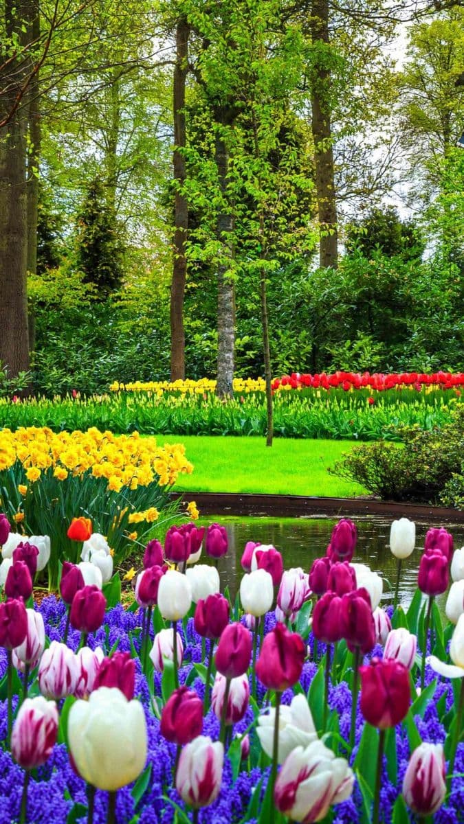 Prenájom domu 85 m², pozemek 1.500 m², Turnov, Liberecký kraj Prenájom domu 85 m², pozemek 1.500 m², Turnov, Liberecký kraj