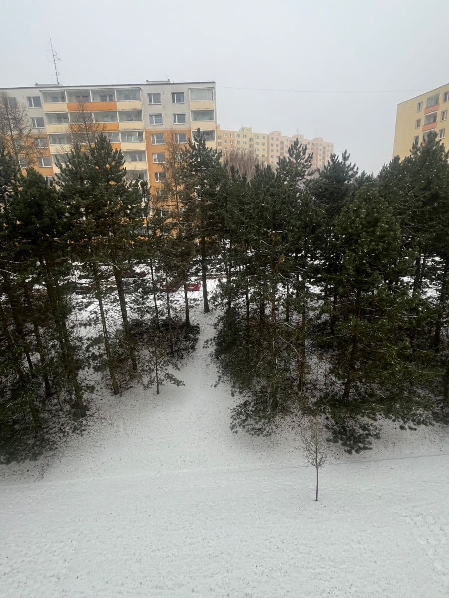 Prenájom bytu 2-izbový 60 m², Lýskova, Brno, Jihomoravský kraj Prenájom bytu 2-izbový 60 m², Lýskova, Brno, Jihomoravský kraj