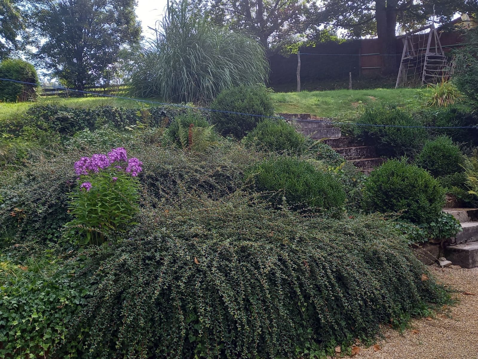 Predaj rekreačného objektu 194 m², pozemek 1.520 m², Pohorská Ves, Jihočeský kraj Predaj rekreačného objektu 194 m², pozemek 1.520 m², Pohorská Ves, Jihočeský kraj