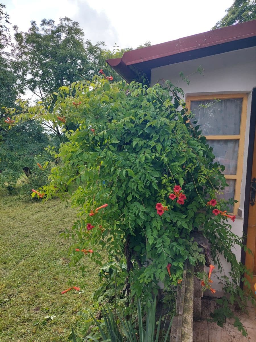 Predaj rekreačného objektu 466 m², pozemek 987 m², Bystřice, Středočeský kraj Predaj rekreačného objektu 466 m², pozemek 987 m², Bystřice, Středočeský kraj