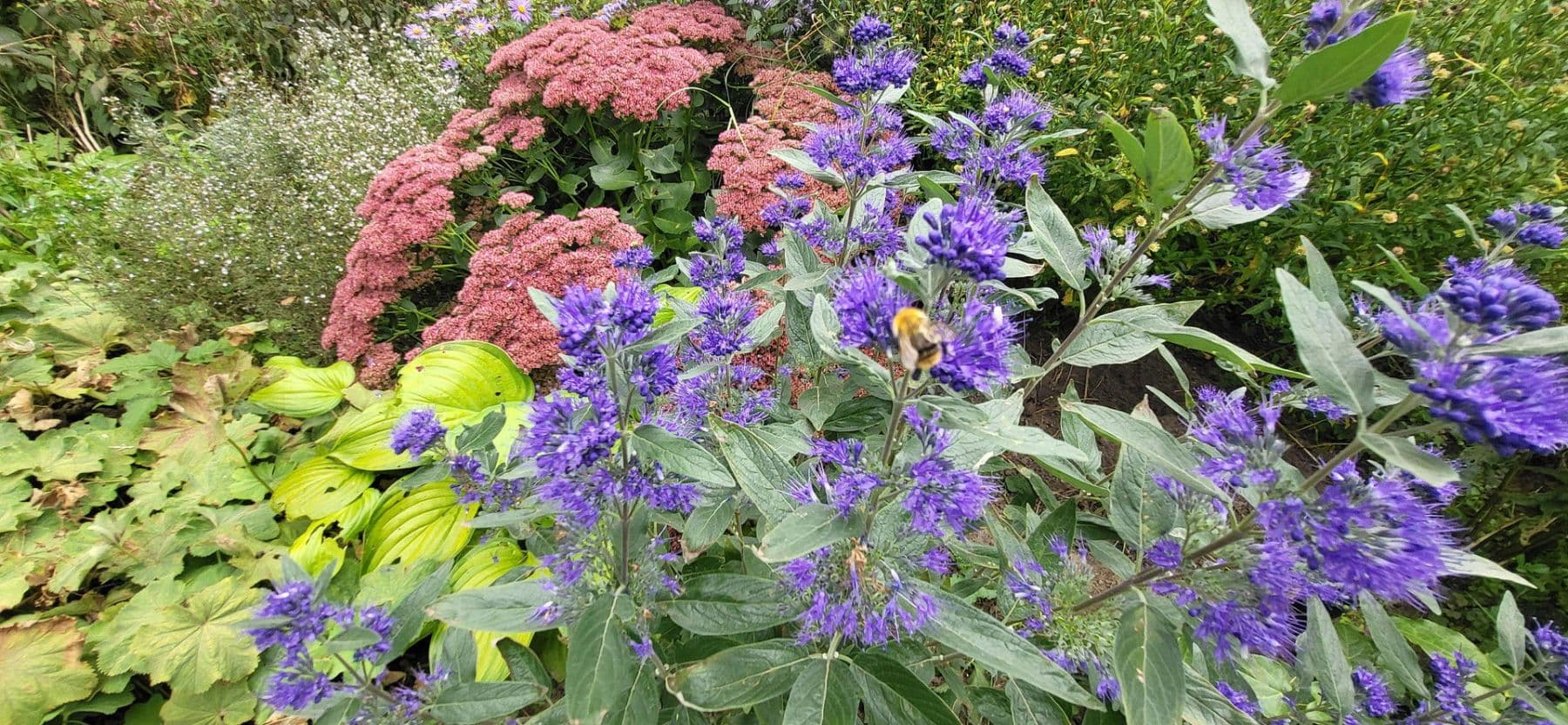 Predaj domu 144 m², pozemek 1.484 m², Egestorf, Dolné Sasko Predaj domu 144 m², pozemek 1.484 m², Egestorf, Dolné Sasko